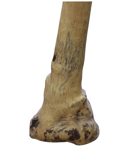 Didgeridoo in Eucalipto 150 cm tipo Australiano Artigianato Bali Fatto a Mano, Suono Autentico