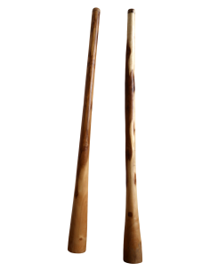 Didgeridoo in teak 150 cm scolpito a mano – Indonesia... 2