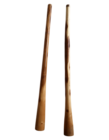 Didgeridoo in teak 150 cm scolpito a mano –...