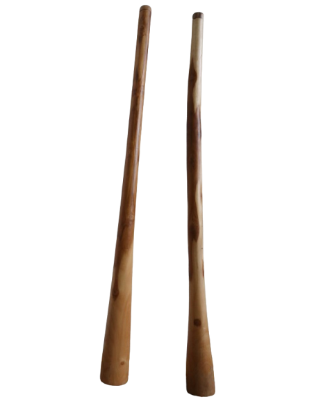 Didgeridoo in teak 150 cm scolpito a mano – Indonesia tipo Australiano Artigianato Bali , Suono Autentico