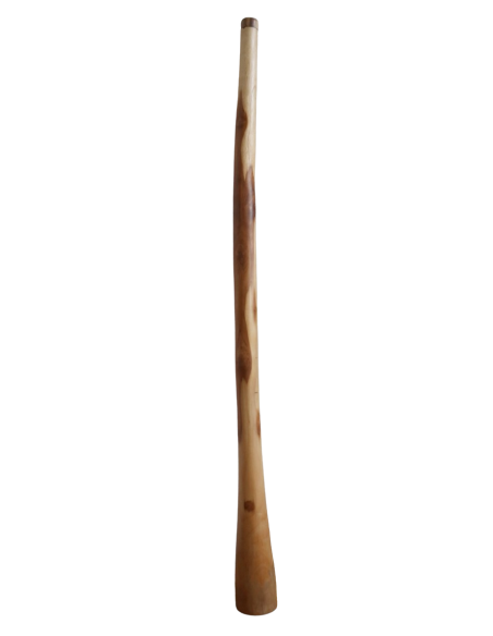 Didgeridoo in teak 150 cm scolpito a mano – Indonesia tipo Australiano Artigianato Bali , Suono Autentico