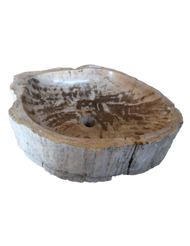 Lavabo in Legno Fossilizzato Indonesiano –...