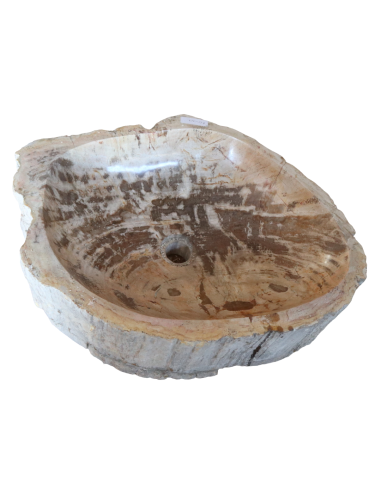 Lavabo in Legno Fossilizzato Indonesiano –...