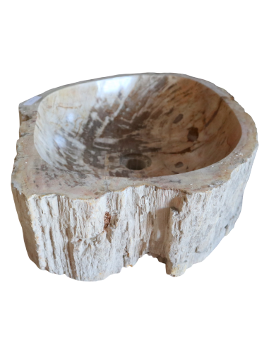 Lavabo in Legno Fossilizzato Indonesiano –...