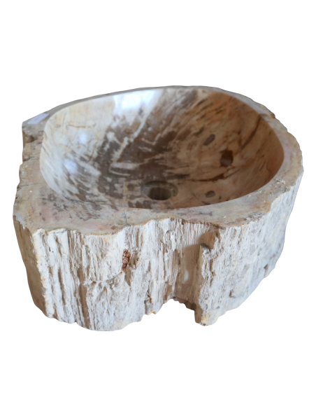 Lavabo in Legno Fossilizzato Indonesiano – Lavandino in Pietra Fossile Naturale 60x40x15 cm