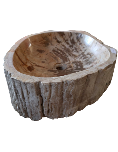 Lavabo in Legno Fossilizzato Indonesiano –...