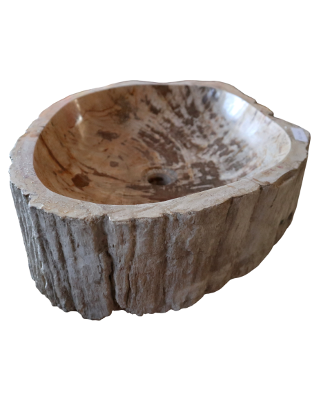 Lavabo in Legno Fossilizzato Indonesiano – Lavandino in Pietra Fossile Naturale 60x40x15 cm