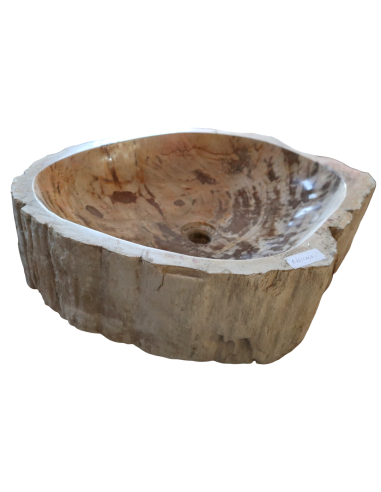 Lavabo in Legno Fossilizzato Indonesiano –...