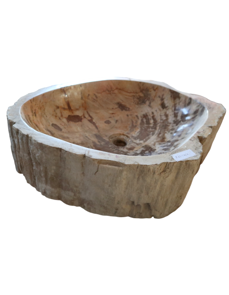 Lavabo in Legno Fossilizzato Indonesiano – Lavandino in Pietra Fossile Naturale 60x40x15 cm