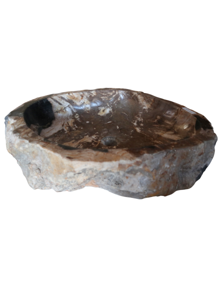 Lavandino in Pietra Fossile Naturale | Legno Fossilizzato 57x50x15 cm | Design Unico dal Fascino Naturale – Amicasaidee