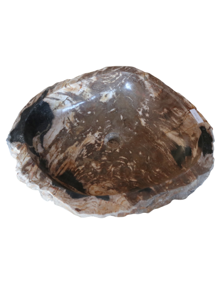 Lavandino in Pietra Fossile Naturale | Legno Fossilizzato 57x50x15 cm | Design Unico dal Fascino Naturale – Amicasaidee