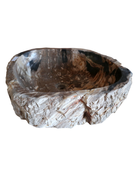 Lavandino in Pietra Fossile Naturale | Legno Fossilizzato 57x50x15 cm | Design Unico dal Fascino Naturale – Amicasaidee