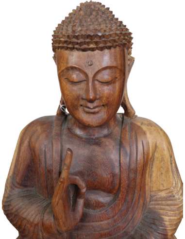 Statua Buddha in Legno Massello Suar –...
