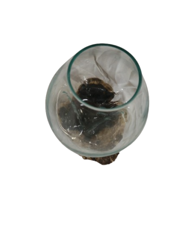 Vaso decorativo in vetro soffiato su radice...