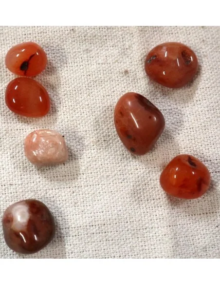 Set 7 Pietre di Corniola Rossa – Cristalli Naturali di Carnelian per Energia, Astrologia e Benessere.